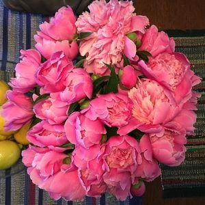 Meet your Posher, Cara